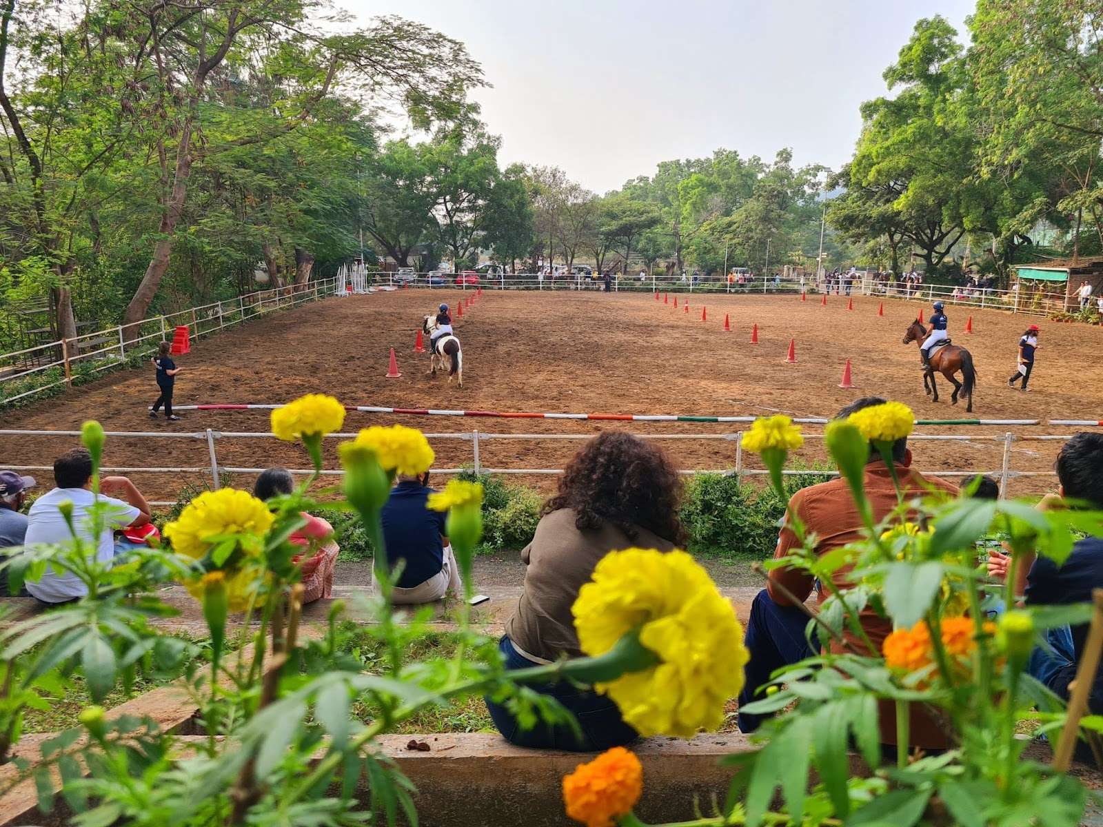 Japalouppe Equestrian Centre Western India’s largest horse riding